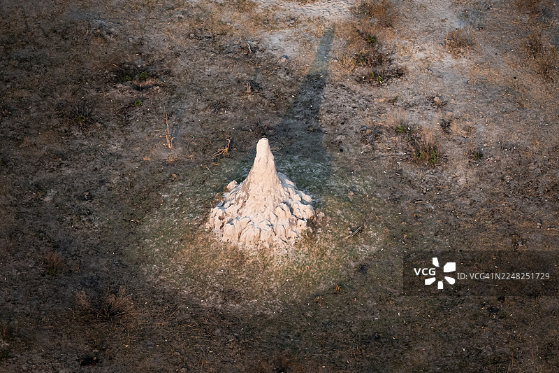 博茨瓦纳奥卡万戈三角洲马翁附近，奥卡万戈三角洲的单只白蚁丘，航拍景观图片素材