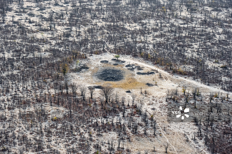 结构与图案，旱季的树木，干旱景观，奥卡万戈三角洲的航拍图，靠近马翁，奥卡万戈三角洲，博茨瓦纳图片素材