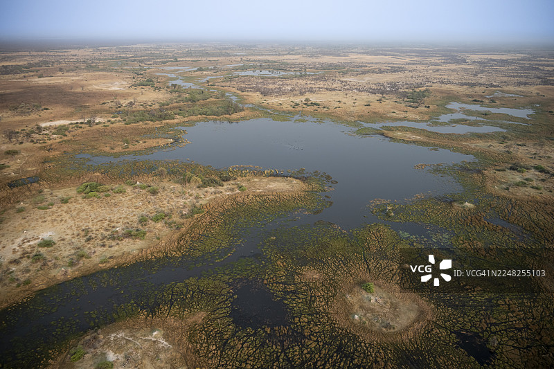 湿地，景观，奥卡万戈三角洲的航拍图，靠近马翁，奥卡万戈三角洲，博茨瓦纳图片素材