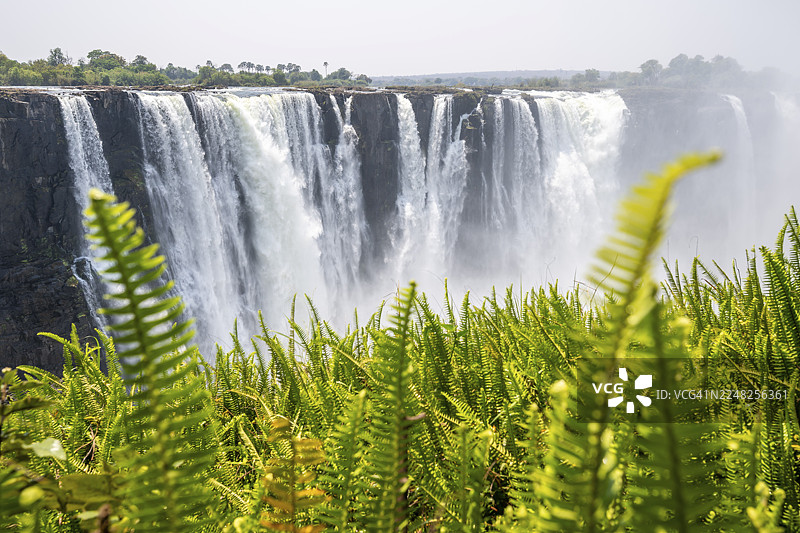 维多利亚瀑布，瀑布奔腾入深渊，周边有丛林和绿色植物，赞比西河，津巴布韦图片素材