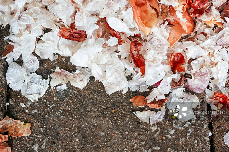 市场地面上的大蒜和洋葱皮图片素材