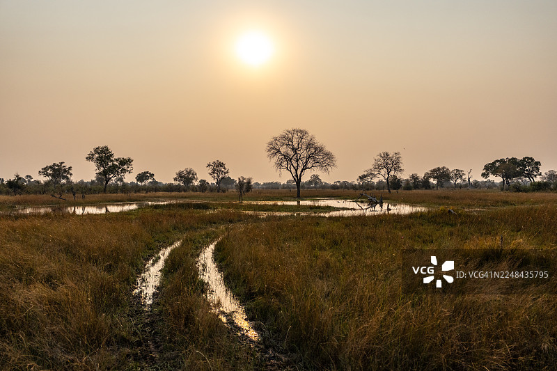 奥卡万戈三角洲的日落，有吉普车辙印。图片素材