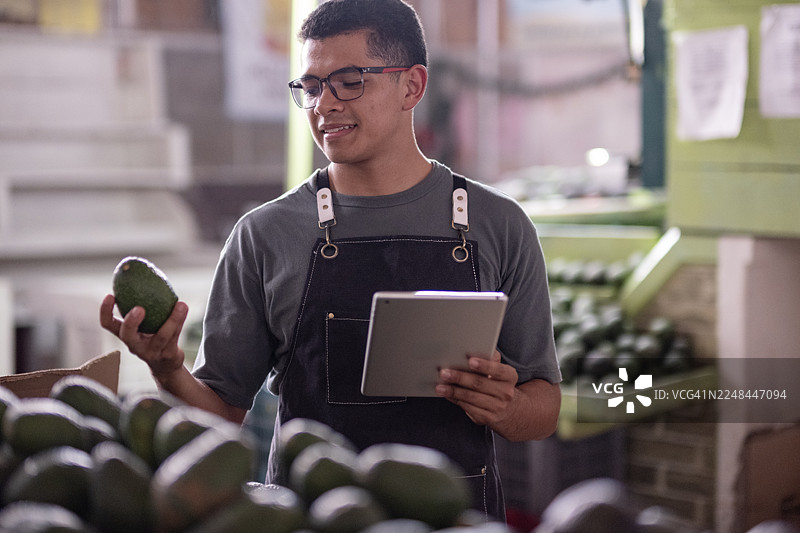 牛油果卖家经营生意并检查产品质量图片素材