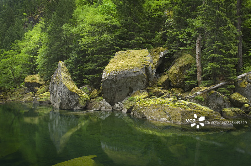 斯卡吉特河峡谷，华盛顿州北喀斯喀特山脉图片素材
