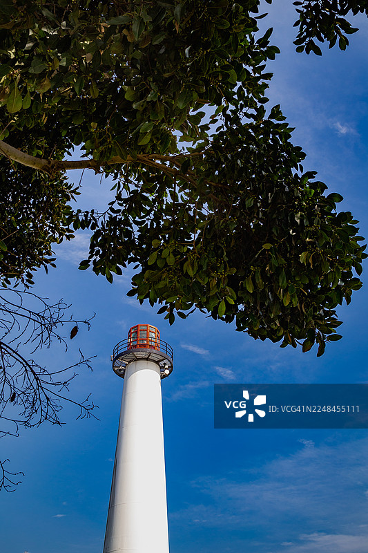 狮子灯塔图片素材