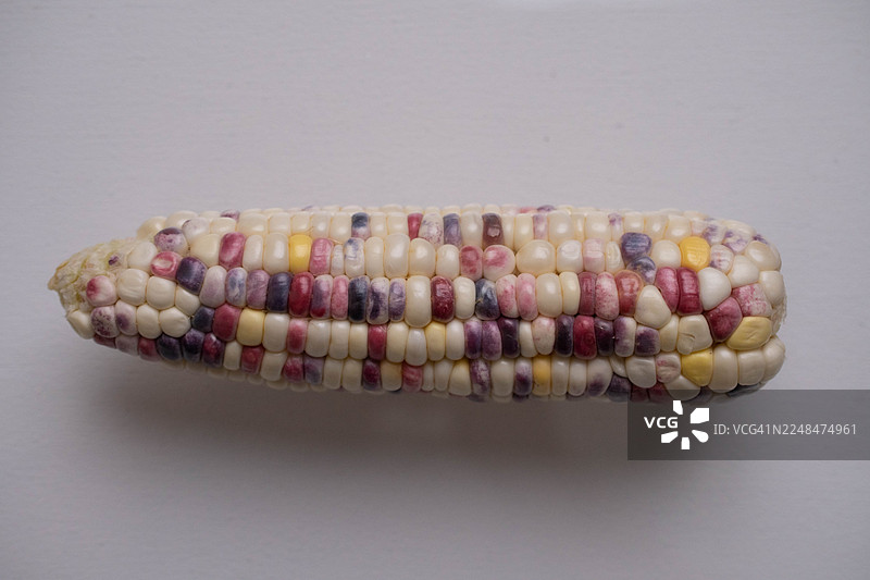 抽象的特写微距拍摄的 the flint corn，展示了其有机纹理和自然图案图片素材