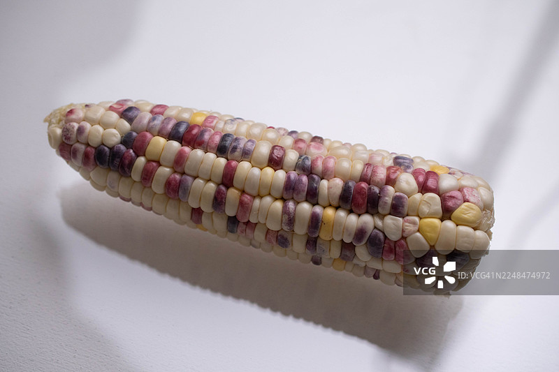 抽象的 Flint 玉米特写微距，展示了其有机纹理和自然图案图片素材