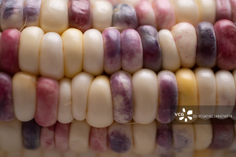 抽象特写微距拍摄的燧石玉米，展示了其有机纹理和自然图案图片素材