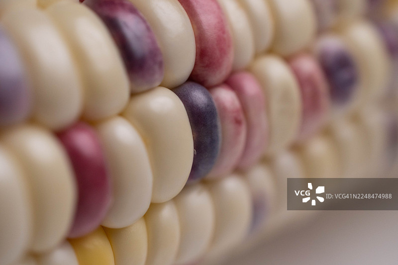 抽象特写微距拍摄的 the flint corn，展示了其有机纹理和自然图案图片素材