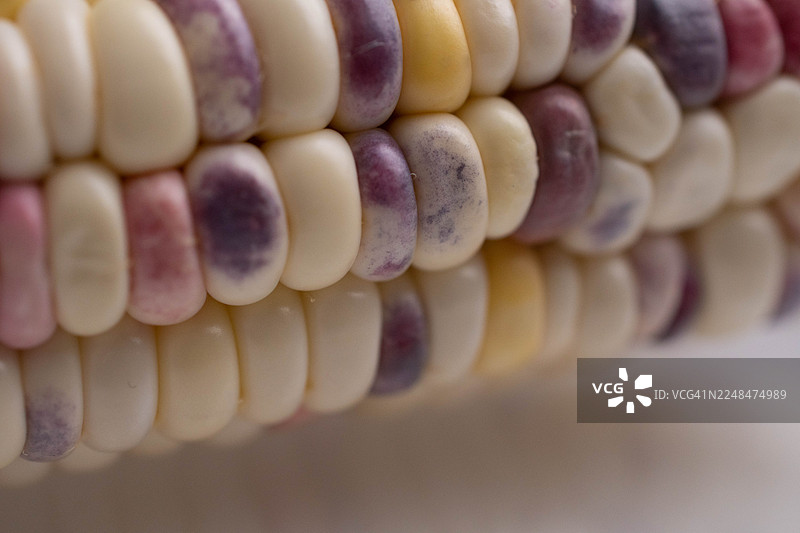 抽象特写微距拍摄的火石玉米，展示其有机纹理和自然图案图片素材