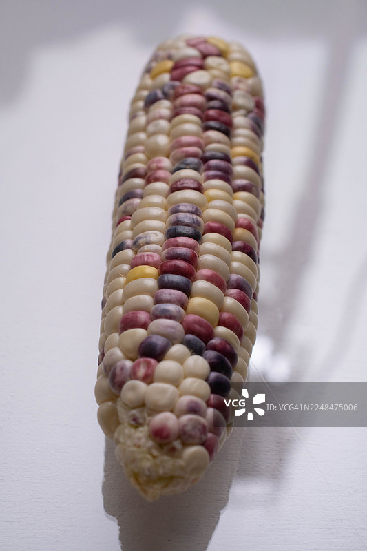 抽象的 Flint 玉米特写微距，展示了其有机纹理和自然图案图片素材