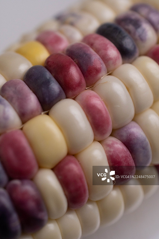 抽象特写微距拍摄的硬质玉米，展示了其有机纹理和自然图案图片素材