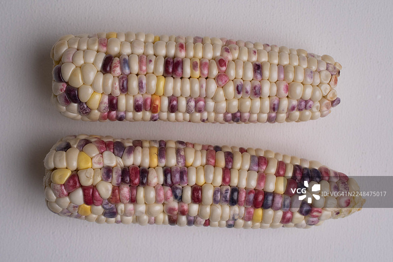 抽象的燧石玉米特写微距，展示了其有机纹理和自然图案图片素材