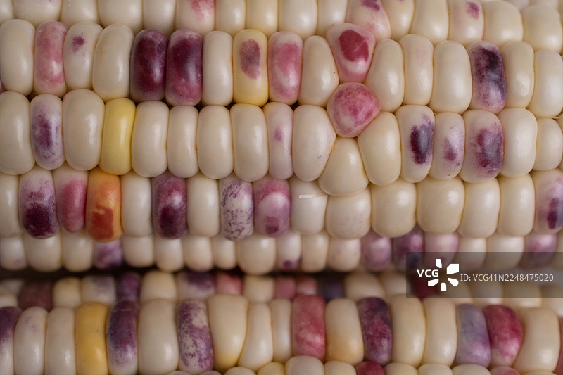 抽象的燧石玉米特写微距，展示其有机纹理和自然图案图片素材