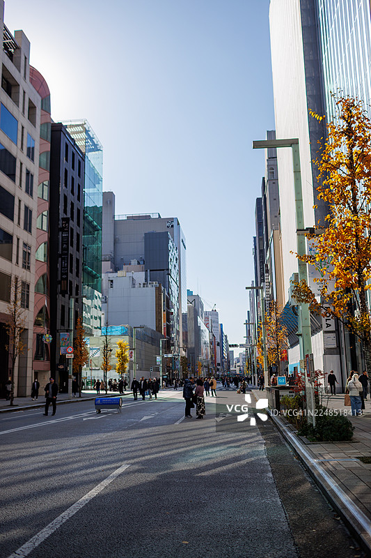 十二月东京银座的氛围图片素材