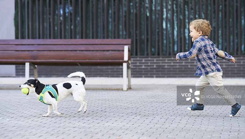 小男孩在公园里跑步，和狗狗玩拾球游戏图片素材