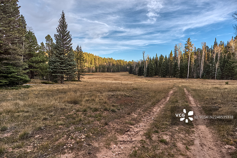 美国亚利桑那州凯巴布国家森林中的小普莱森特谷图片素材