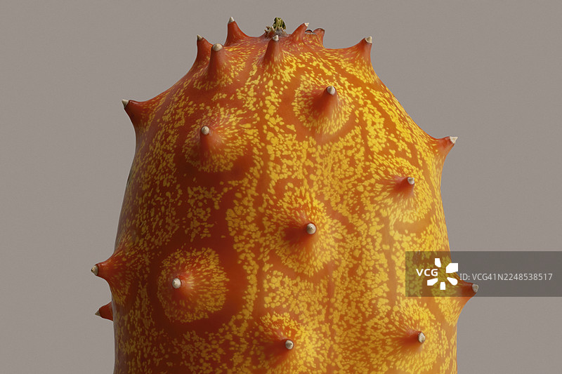 灰色背景下，橘色、有纹路的非洲角瓜的极端特写图片素材