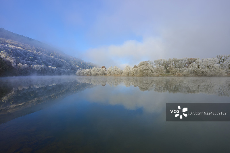 冬季的河畔景观,河上笼罩着薄雾,两岸树木成行,覆盖着白霜,这是德国巴登-符腾堡州美因-陶伯县的博克斯塔尔地区,以及巴伐利亚州斯佩萨特地区的施塔特普罗策尔滕和多夫普罗策尔滕附近的冬季景象,画面中的河流是美因河。图片素材