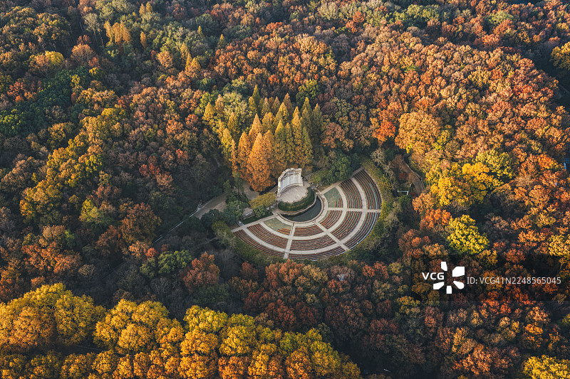 南京江苏中山音乐台空中俯瞰秋季茂密森林图片素材