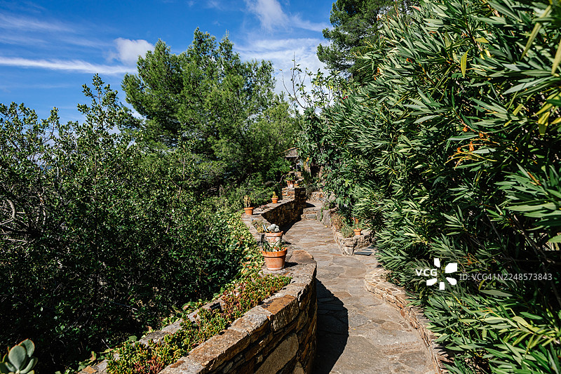 穿过茂密绿植和石墙的花园小径图片素材