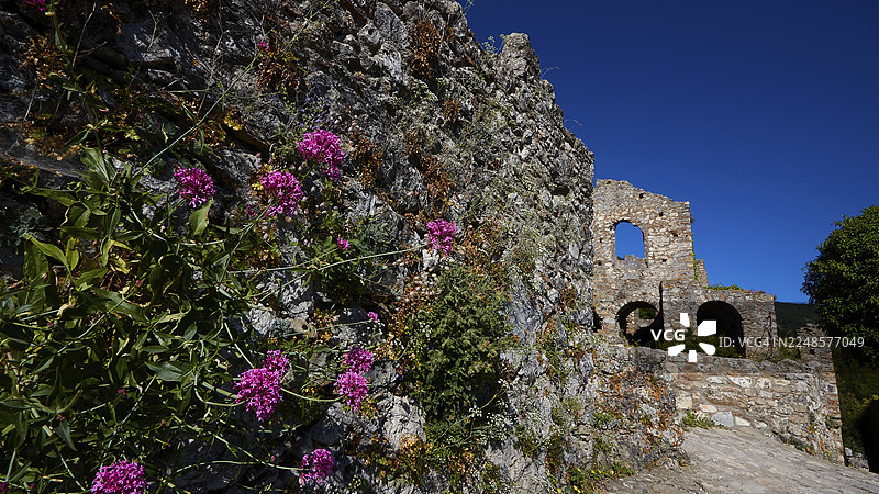 石墙，前面开满鲜花的古老废弃建筑群，米斯特拉，米斯特拉斯，联合国教科文组织世界遗产，中世纪拜占庭遗址城市，斯巴达西北部，泰格托斯山麓，伯罗奔尼撒半岛，希腊图片素材