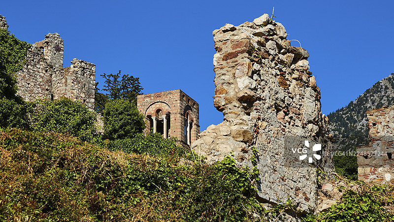 圣索菲亚教堂(公元14世纪),被茂密自然环绕的废弃城墙,蓝天为背景,位于密斯特拉斯,米斯特拉,联合国教科文组织世界遗产,中世纪拜占庭废墟城市,斯巴达西北部,泰格特斯山脉山麓。图片素材