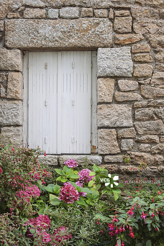 法兰西布列塔尼,布雷阿岛,花岗岩房屋的窗户,配有关闭的白色百叶窗,前面是绣球花和倒挂金钟的花坛图片素材