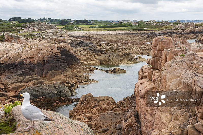 法国布列塔尼布雷哈岛的岩石海岸图片素材