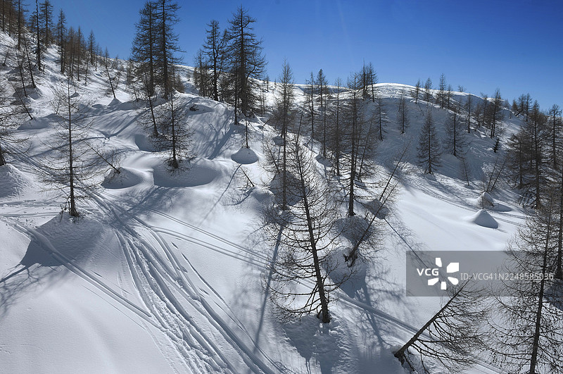 意大利特伦蒂诺-上阿迪杰大区圣马蒂诺迪卡斯特罗扎阿尔佩托尼奥拉滑雪区图片素材