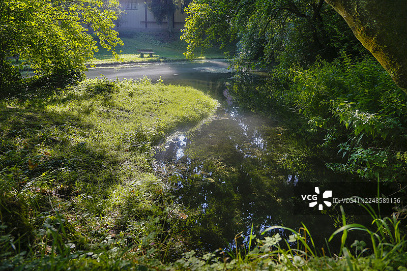 劳特泉，大劳特河，喀斯特泉盆，水，公园，田园诗，草地，草坪树木，逆光，奥芬豪森，戈马丁根市镇，施瓦本汝拉山，巴登-符腾堡州，德国图片素材