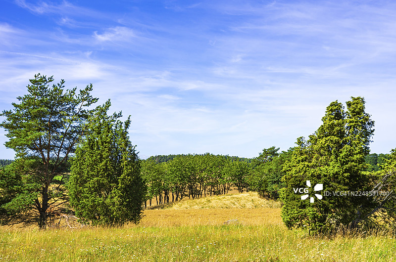 瑞典韦斯特曼兰省利德雪平附近孙纳斯贝里村的斯滕胡斯巴肯石器时代和铁器时代的墓葬群，周围环绕着夏季石楠地。图片素材