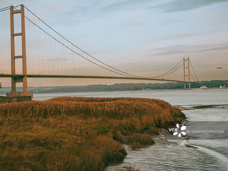 阴天时，横跨广阔水域的悬索桥景色，前景为湿地，地点为英国赫西尔，亨伯桥乡村公园。图片素材