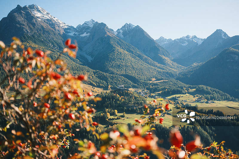 令人惊叹的秋季山景，拥有鲜艳的秋叶和远处的村庄，瑞士，苏厄尔，塔拉斯普图片素材