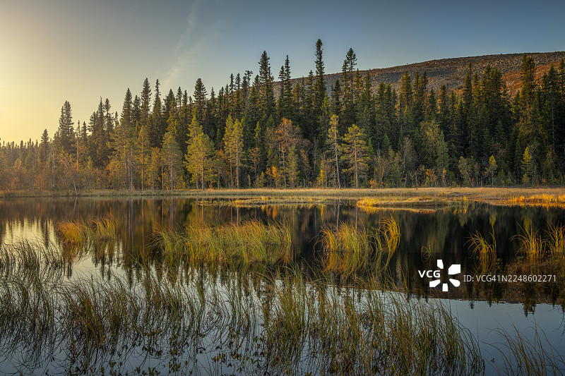 瑞典秋季森林在日落时分清晰倒映在宁静湖面上的风景，瑞典图片素材