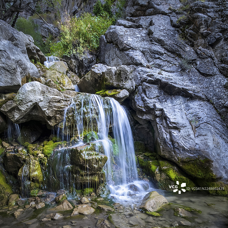 宁静森林中，绿意盎然，青苔覆石，瀑布倾泻而下，位于美国格雷布尔图片素材