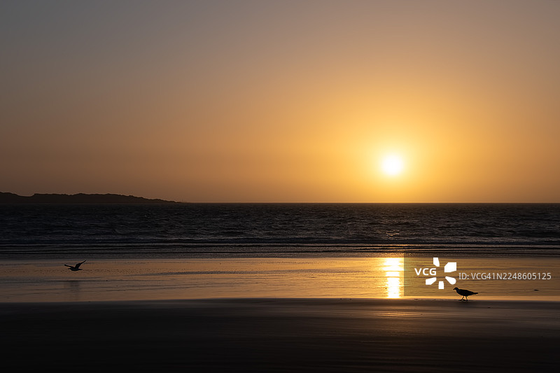 纳米比亚吕德里茨，日落时分海景，晴朗天空，沙滩上有鸟儿图片素材