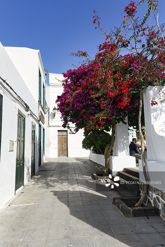 哈里亚老城区的巷子,村庄广场,红色的九重葛(见血封喉),白色的房屋,蓝天,哈里亚,兰萨罗特,加那利群岛,西班牙图片素材