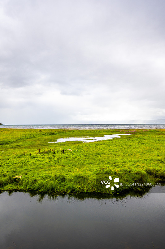 多云天空下，生机勃勃的绿色沼泽与宁静的湖水交汇，构成一幅宁静的自然风光，英国阿普尔克罗斯图片素材