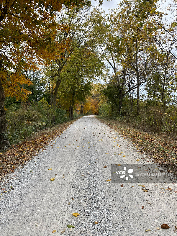 一条蜿蜒的碎石路穿过充满活力的秋季森林，周围是色彩斑斓的树木和落叶，位于美国沃伦图片素材