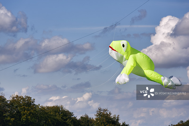 在德国北莱茵-威斯特法伦州、埃格山脉和南条顿堡森林自然公园、威悉山地公园、施泰因海姆举行的风筝节上，天空中飘着一只风筝，还有一只青蛙。图片素材