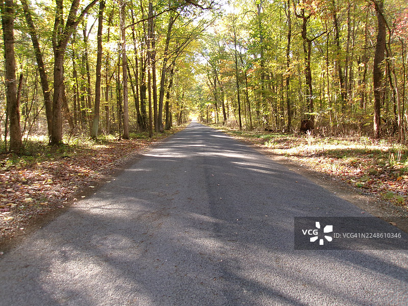 阳光斑驳，一条空旷的道路蜿蜒穿过色彩鲜艳的秋季森林，拉格朗日，美国图片素材