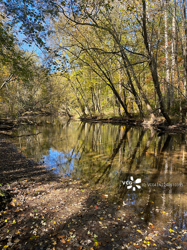 宁静的秋季森林，平静的溪流倒映着蓝天下的彩色树木，美国拉格朗日图片素材