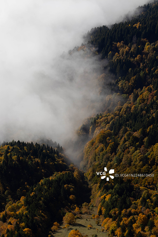 浓雾与云层笼罩着陡峭的山谷，秋季树木覆盖其间，营造出神秘的氛围图片素材