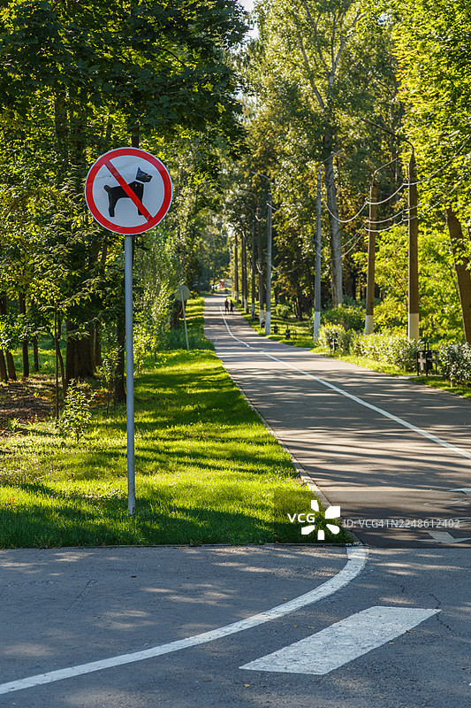 阳光明媚的日子里，一条绿树成荫、草木葱茏的小路上竖着一块禁止狗进入的标识。图片素材