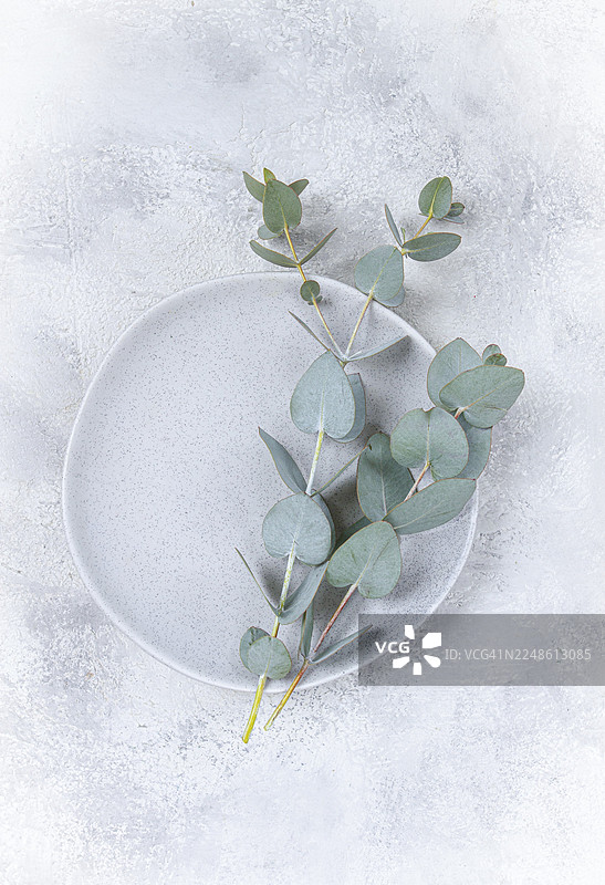灰色盘子上的桉树枝，明信片风格，俯视角度，无人图片素材