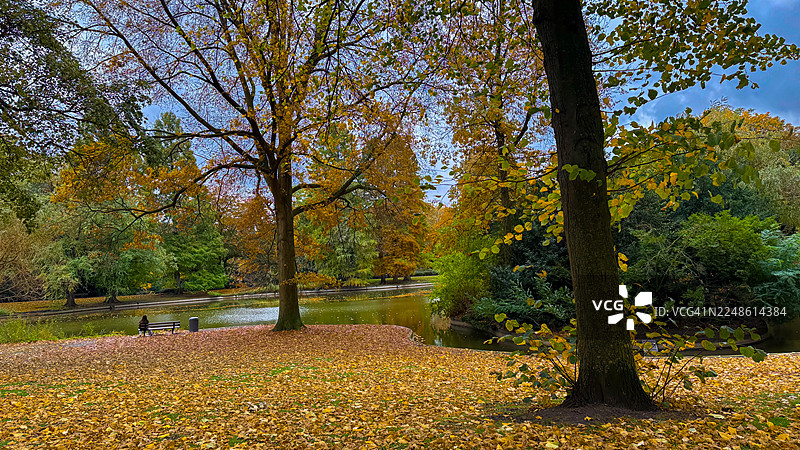 秋日公园，色彩斑斓的树木和落叶环绕着宁静的池塘，孤独的身影坐在长椅上图片素材
