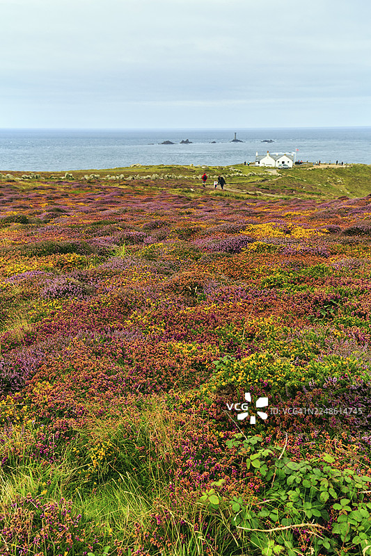 海岸线，大西洋沿岸的石楠花，远处的灯塔和长船群岛，小径，西南海岸小径，云层，陆地尽头海角，兰兹角，彭赞斯，彭威思半岛，康沃尔，英格兰，英国图片素材
