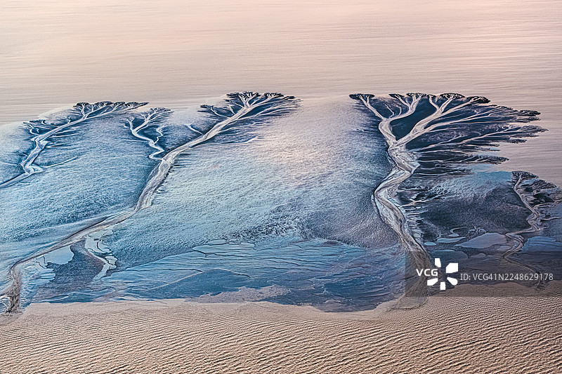 钱塘江海宁潮涌沙滩退潮时的树木形态图片素材