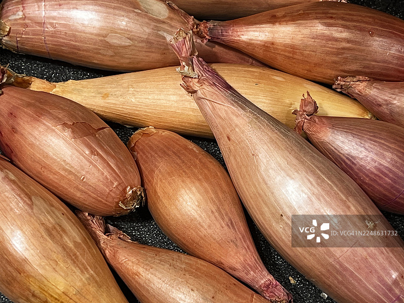 不同尺寸的香蕉葱（洋葱）图片素材